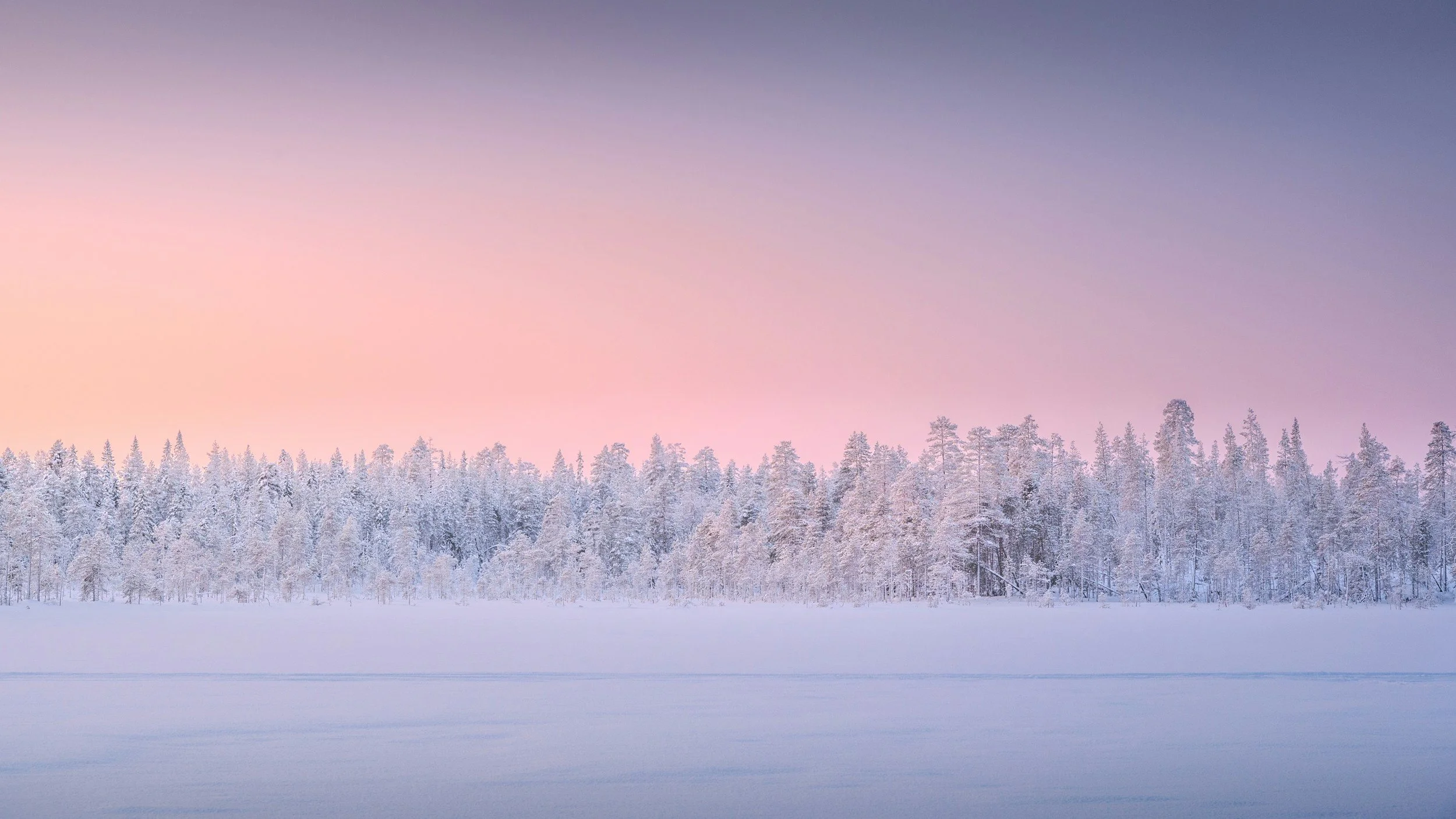 Cafe Concert: Winter Landscapes