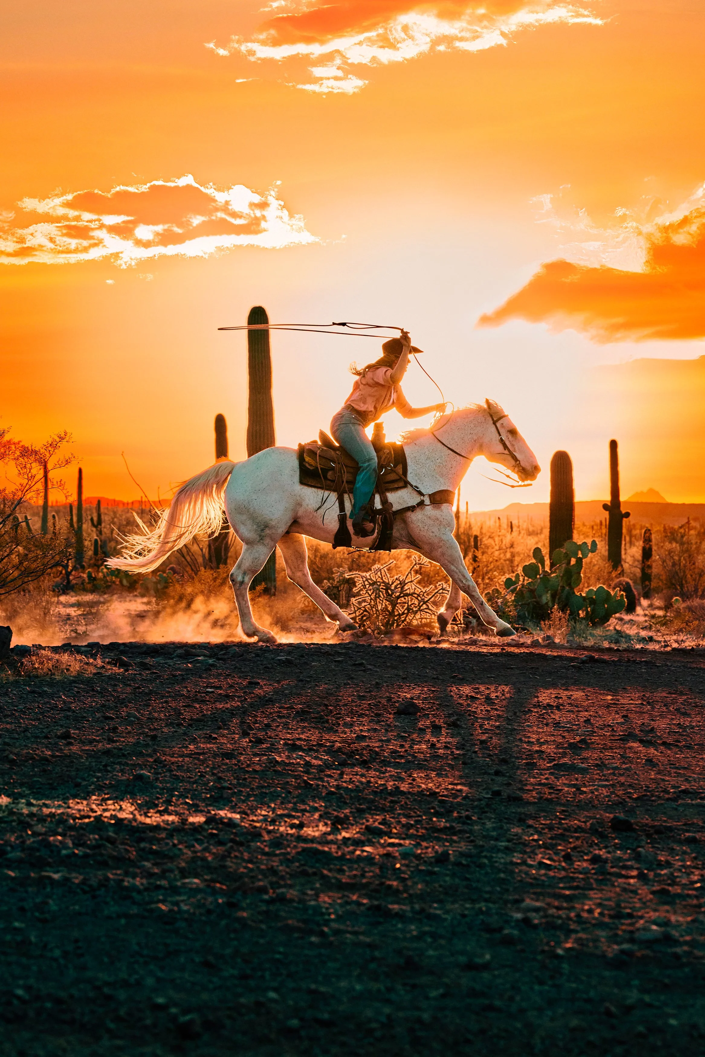 VIBRANTAZ_Copper_Lifestyle_White Stallion Ranch_0001.jpg