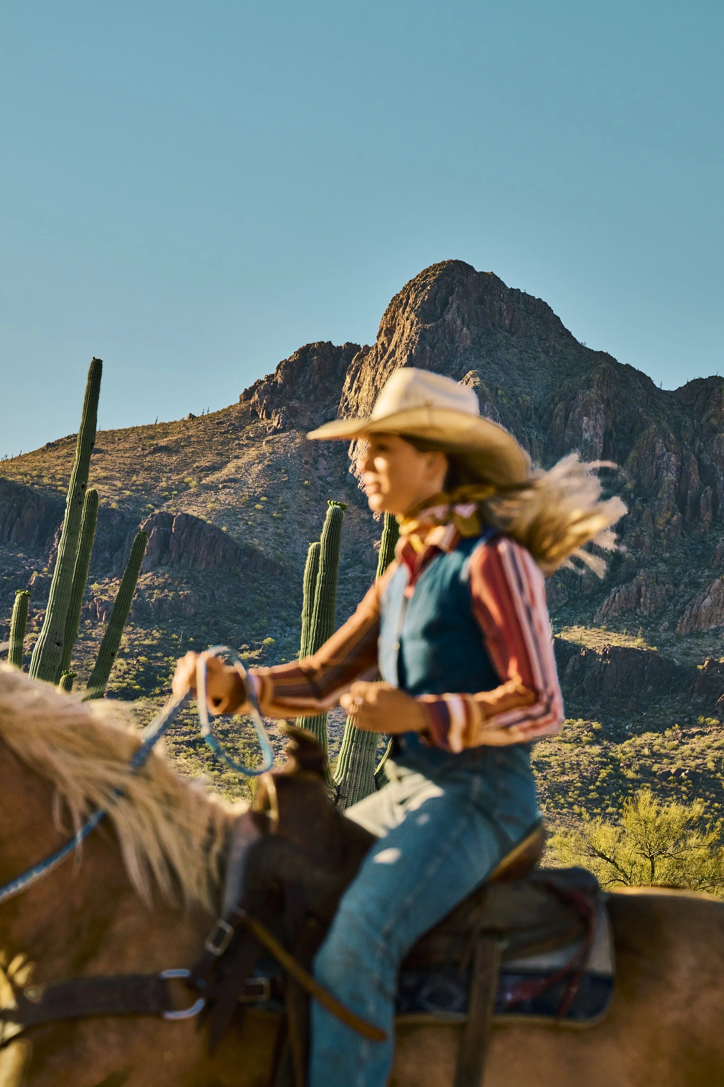 VIBRANTAZ_Sage_Lifestyle_White Stallion Ranch_0003.jpg