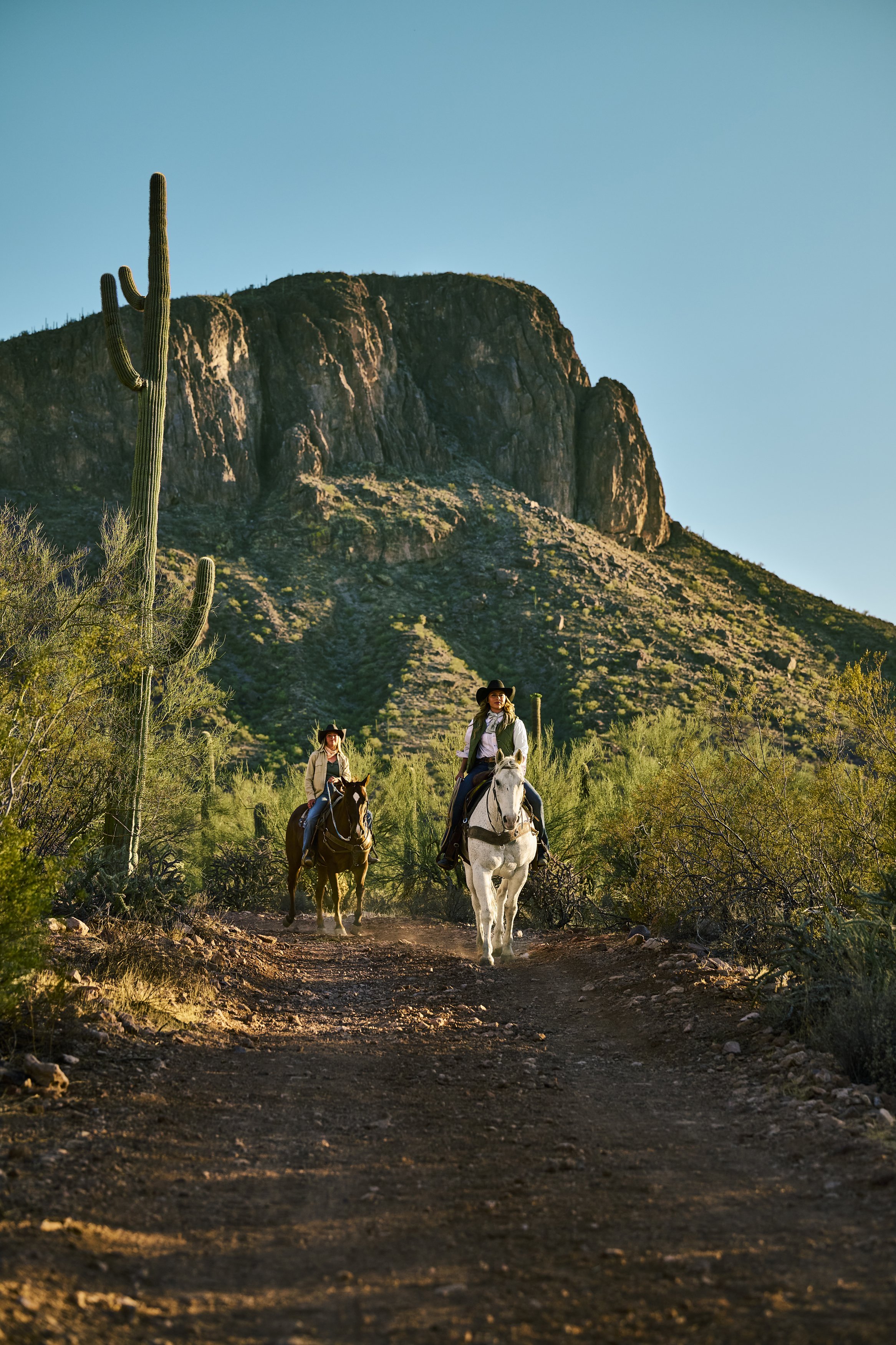 VIBRANTAZ_Sage_Lifestyle_White Stallion Ranch_0031.jpg