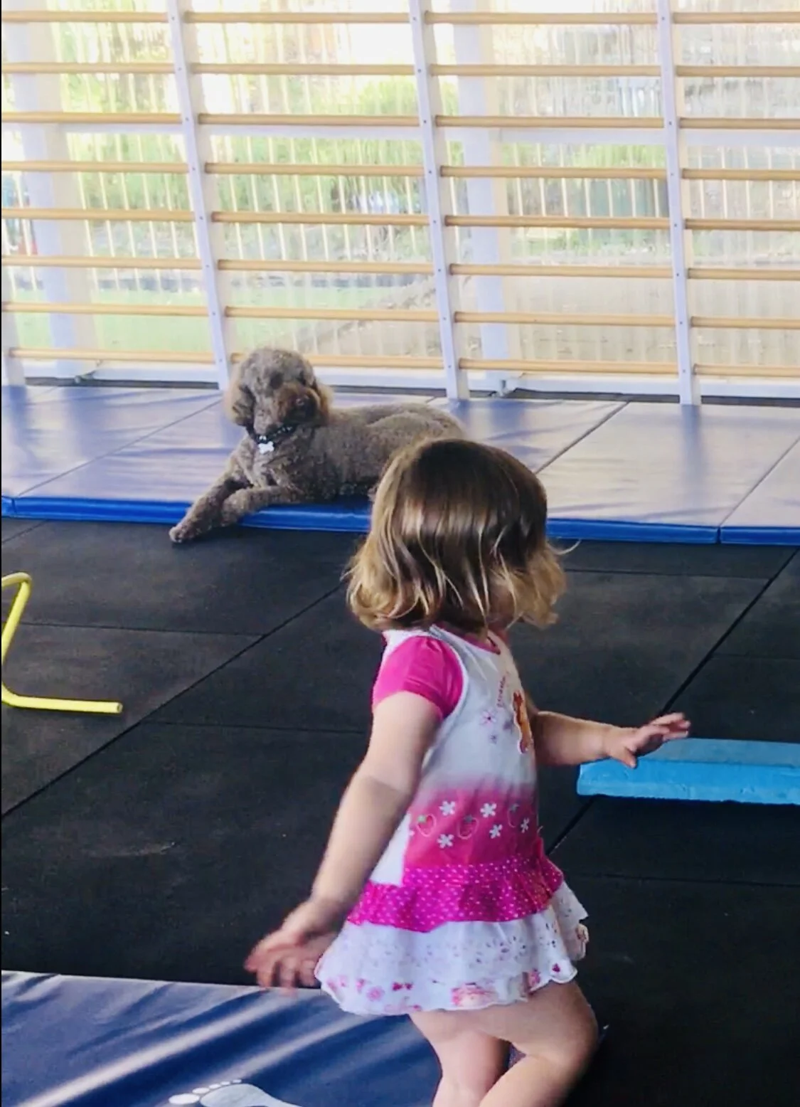 My First Gymnastics