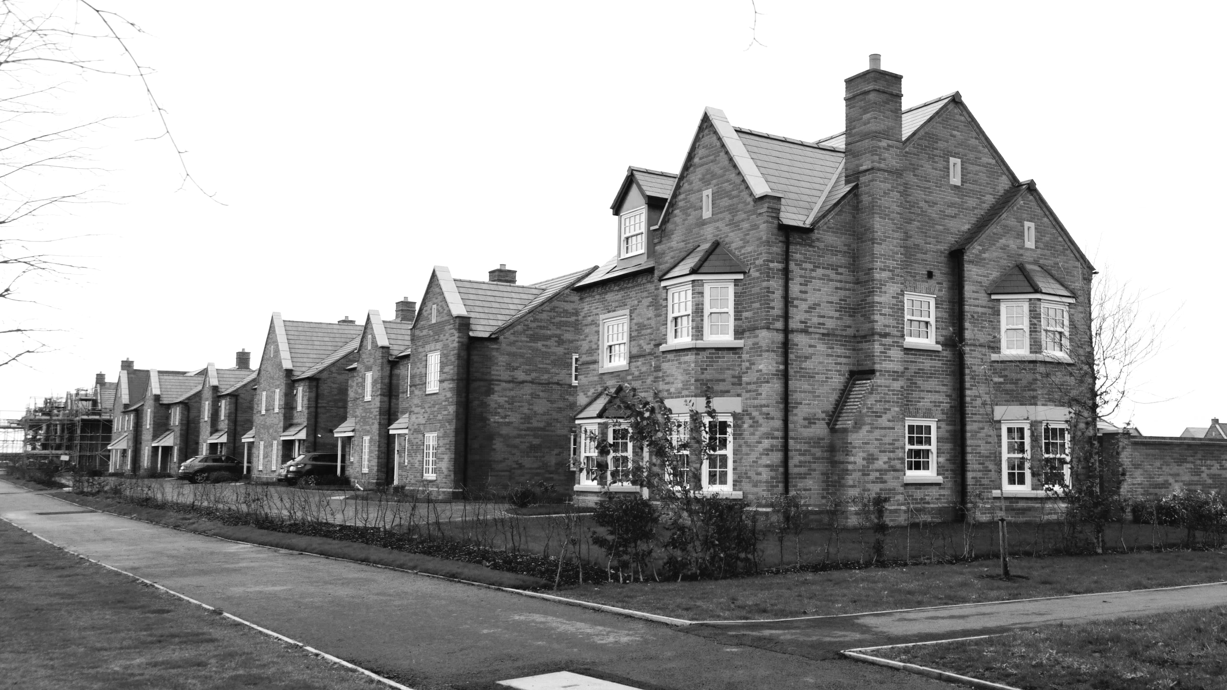 _DSC6494 smaller.png