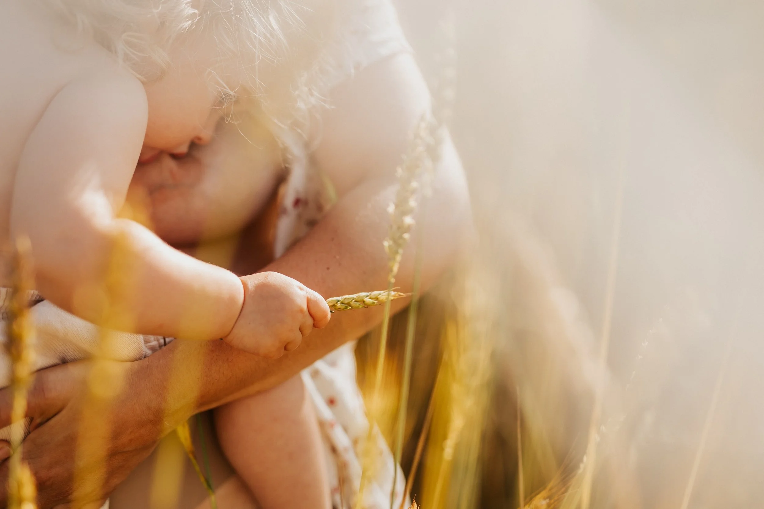 photo de détails de la main de bébé en train de téter sur un épi de blé