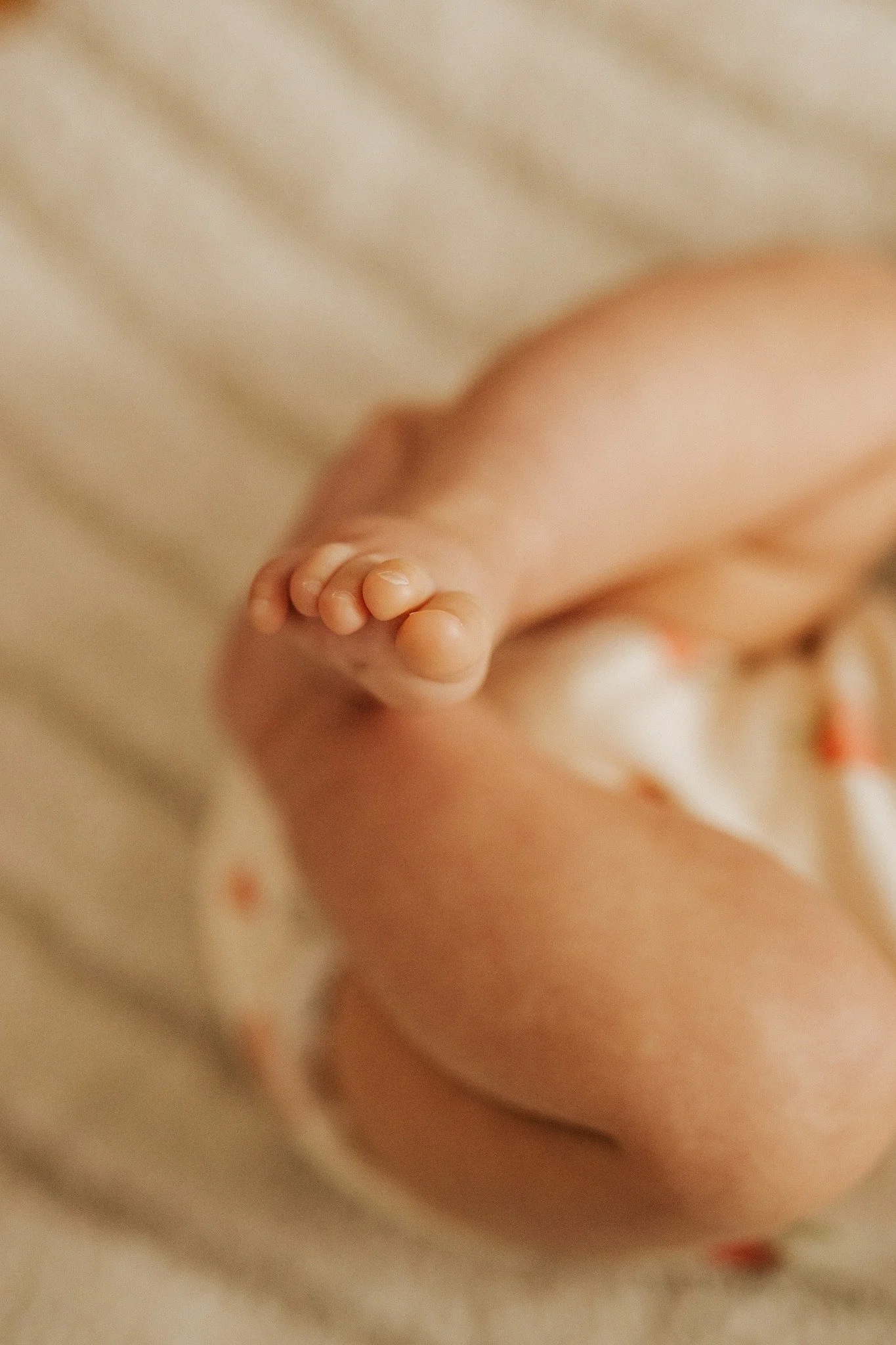Ces petits pieds ne sont-ils pas &agrave; croquer ?

Vous le savez, j'adore photographier les d&eacute;tails, les petites parties de ces petits corps qui vont tr&egrave;s vite grandir...

#photographebébé #photographebebelyon #photographedenouveaun