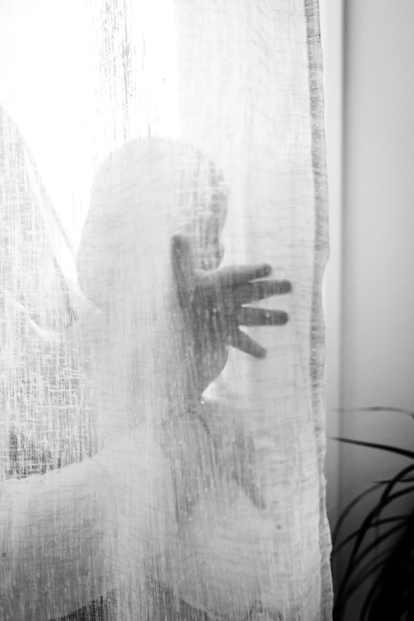 M&ecirc;me &agrave; travers une vitre ou derri&egrave;re un rideau, l&rsquo;amour trouve toujours la lumi&egrave;re 🤍