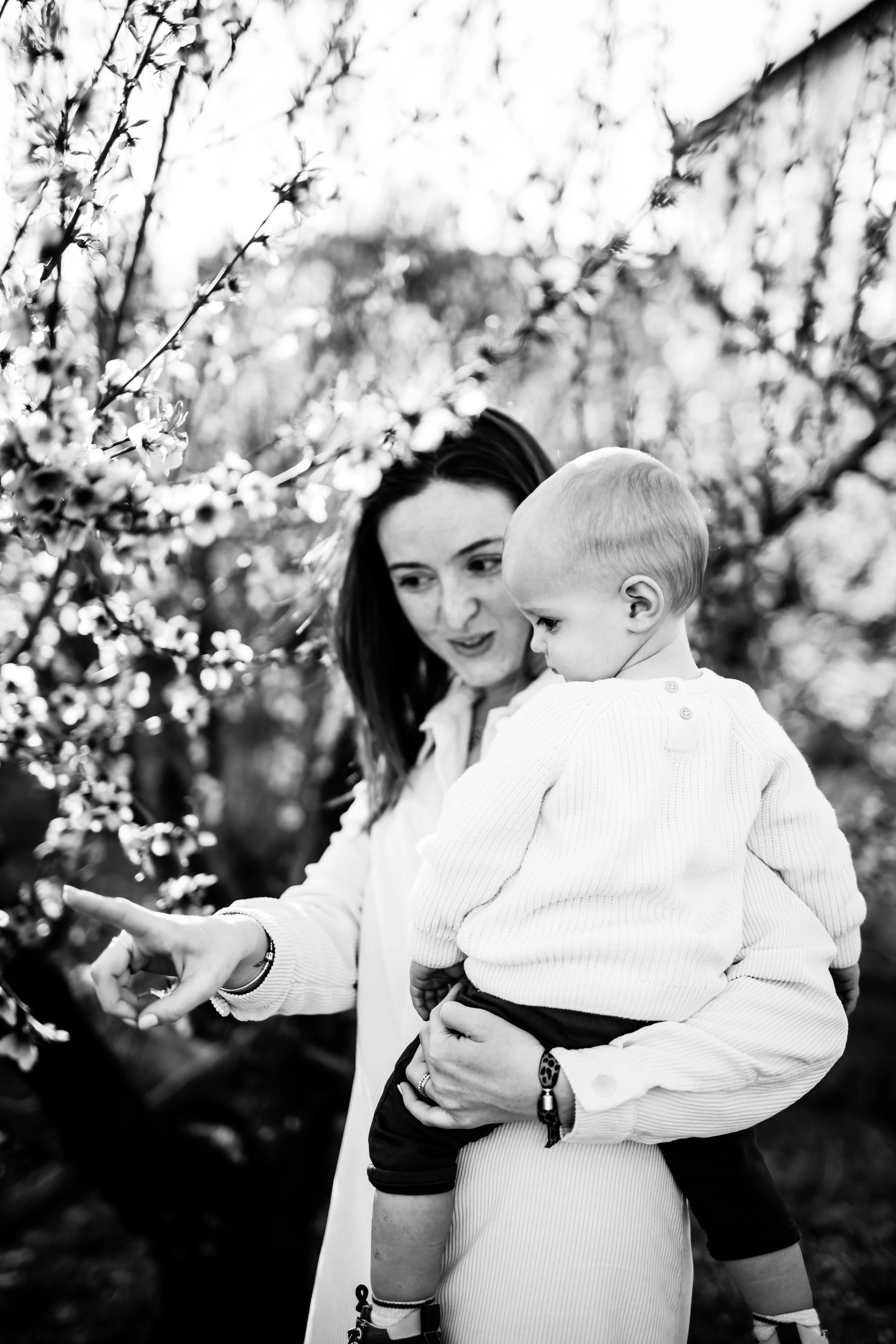 photo noir et blanc d'un moment de découverte entre maman et bébé dans les fleurs de pruniers dans le beaujolais