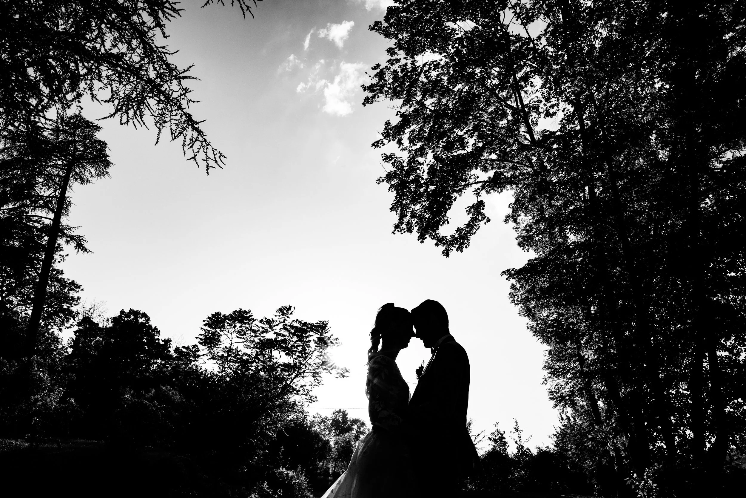 photo de couple en silhouette dans le parc très arboré du domaine de tourieux à savigny près de lyon