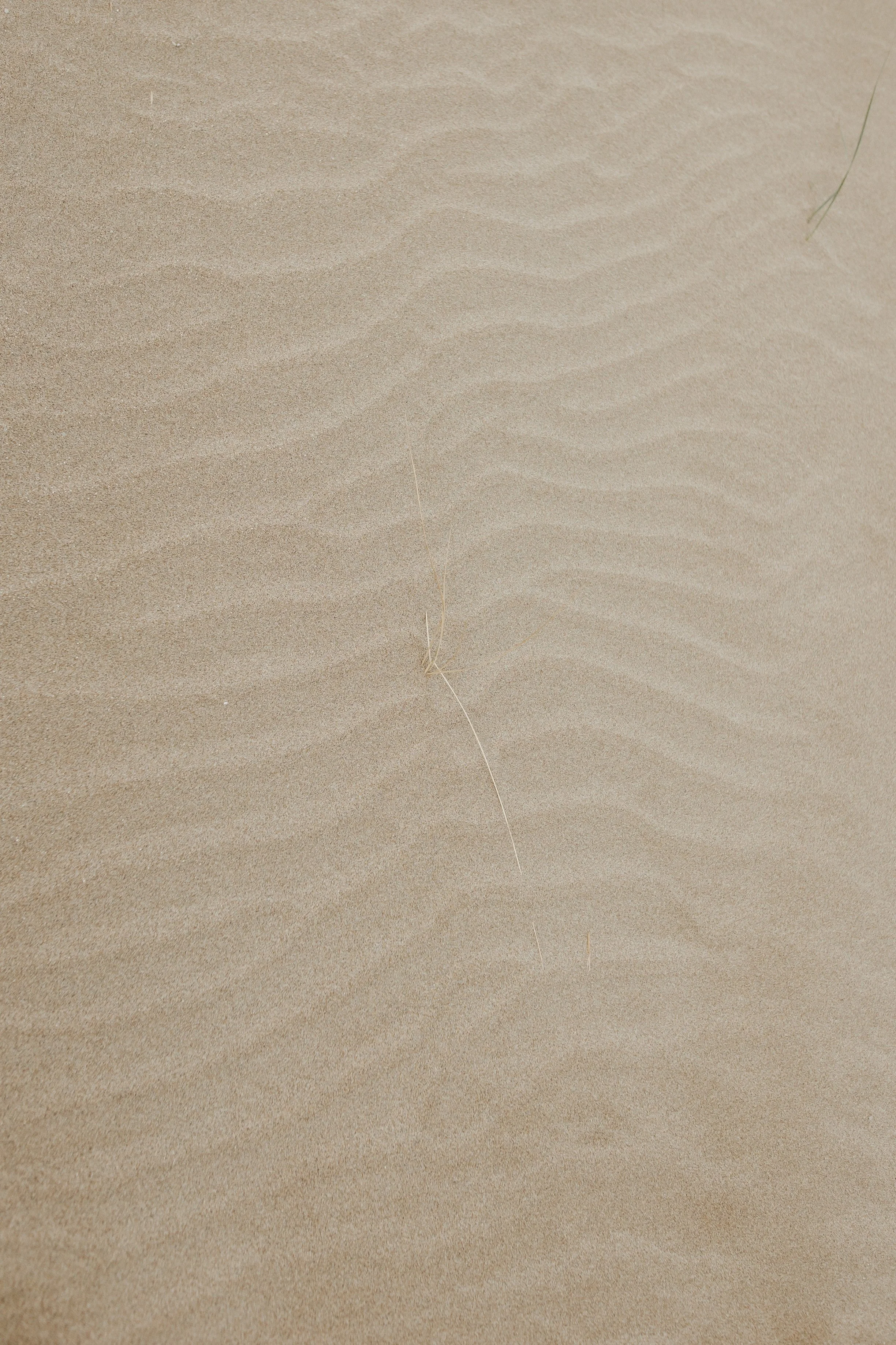 photo de détails du sable pendant une séance à la plage près de Montpellier