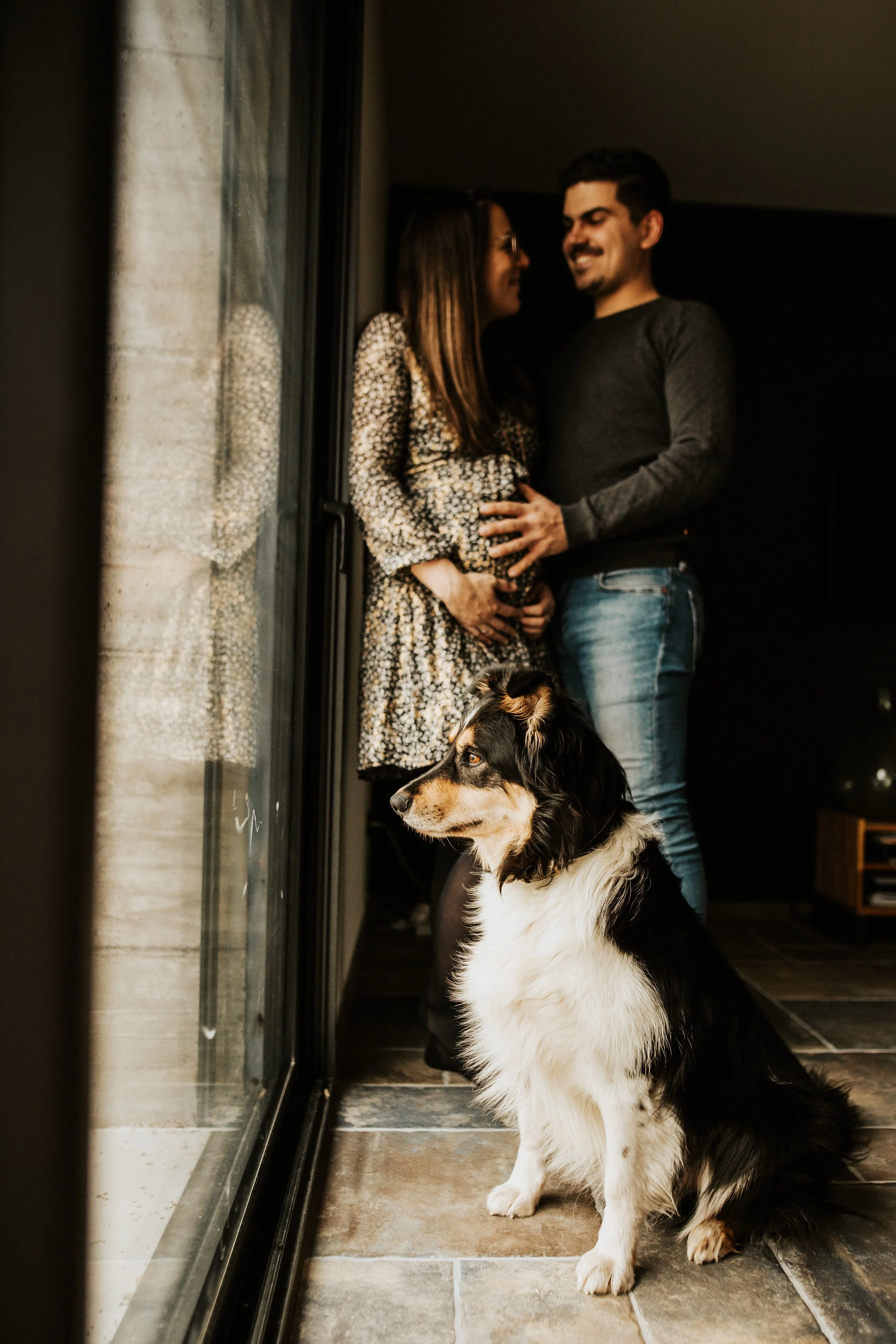photos d'un couple avec leur chien attendant leur bébé avec impatience par photographe de grossesse à Lyon et dans le beaujolais