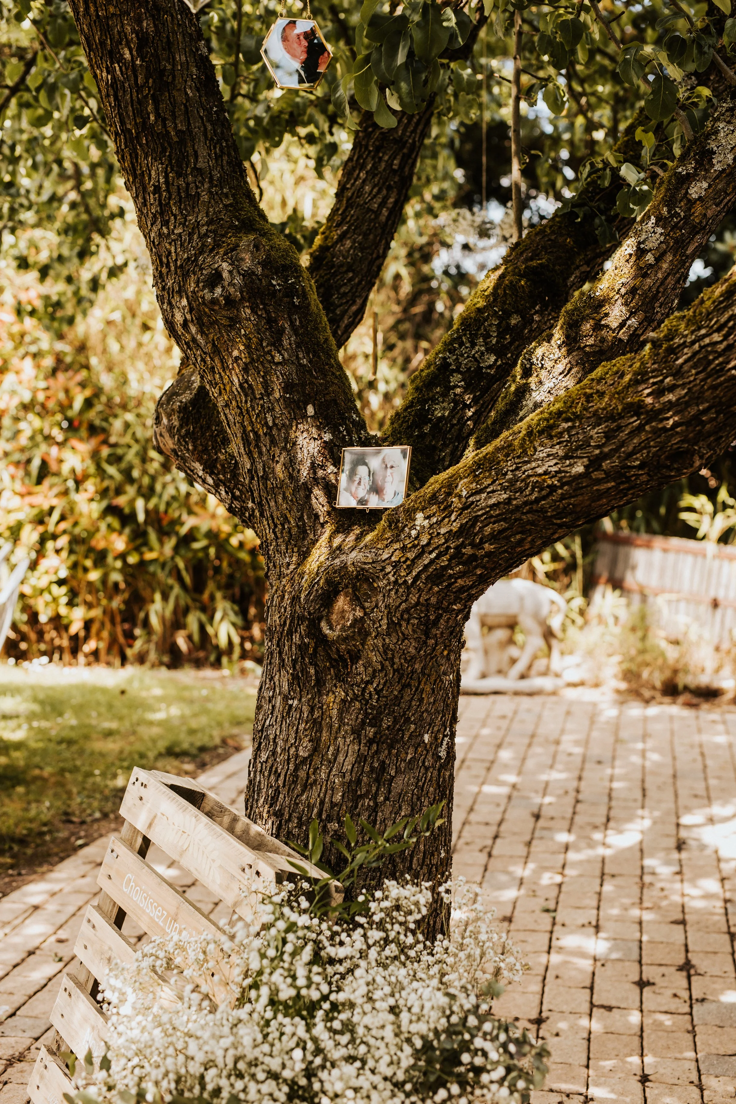 photos d'un arbres à souvenirs créé près de la cérémonie laïque d'un mariage dans le beaujolais