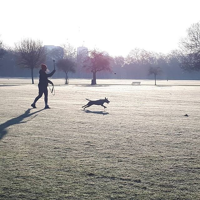 Victoria Park (now closed) in all its glory early yesterday. Morning routine more important than ever
#morningjog #socialdistancing #mentalhealth