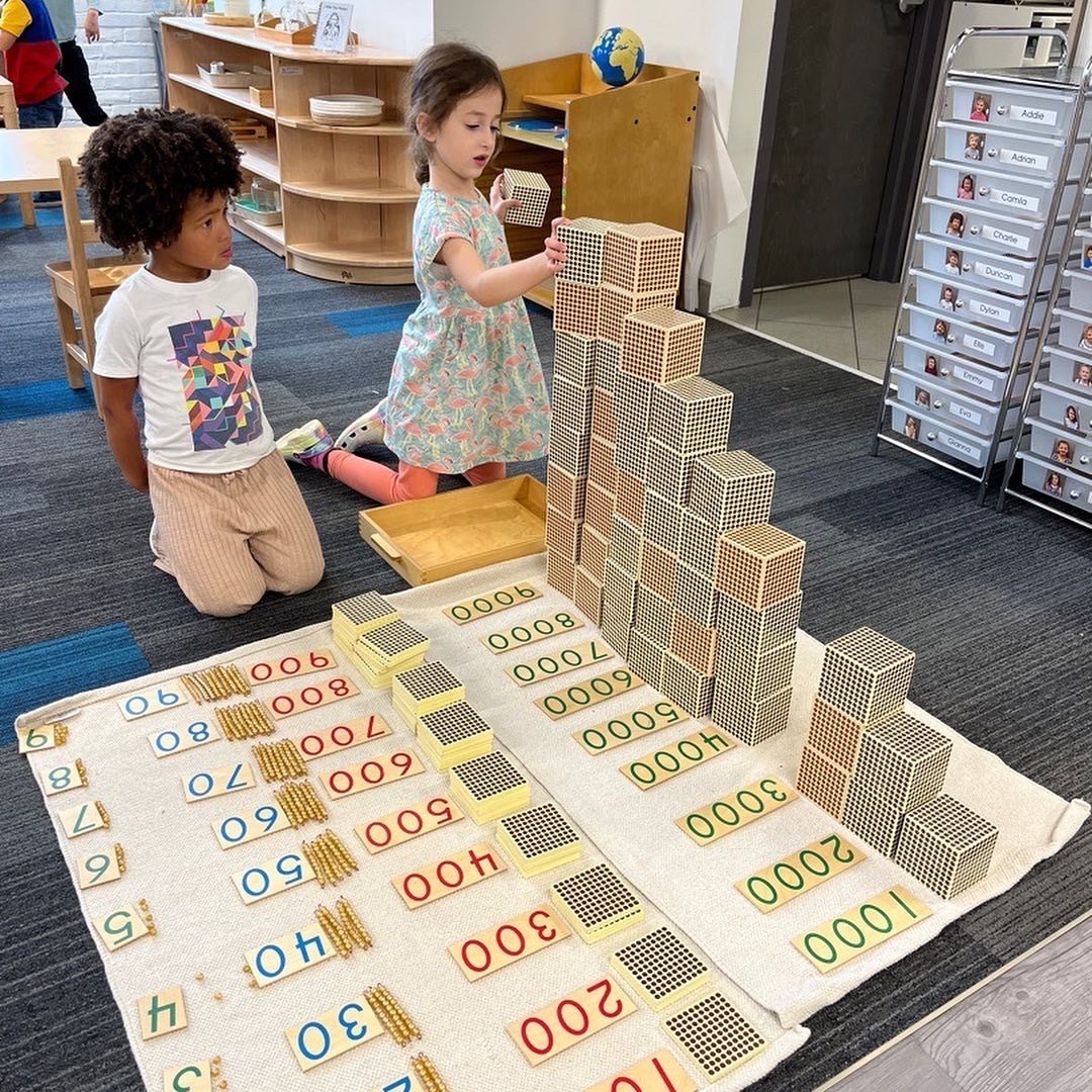  A kindergartner works with the Golden Bead Material from our “bank” to complete the Decimal Layout while a younger classmate looks on with admiration. Using a great deal of concentration and time, she placed all the numeral cards in order and all of