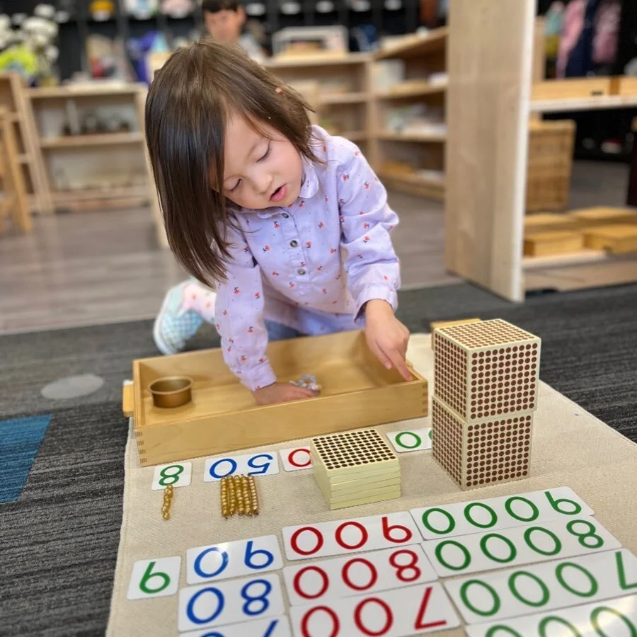 The Golden Bead material is a Montessori material that introduces the concept of the decimal system! 
Shown here, a Primary student in the Green Room learns to build four-digit numerals and quantities with the Golden Bead material. She isolates the