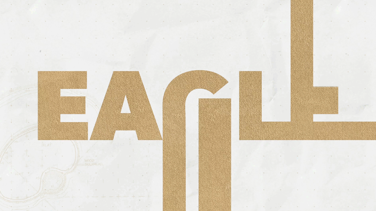 2020-players-eagle-motion.gif