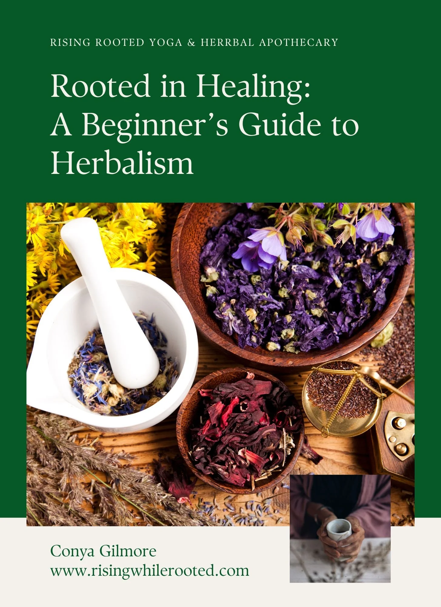 Discover the Magic of Herbal Healing with Rooted in Healing: A Beginner’s Guide to Herbalism