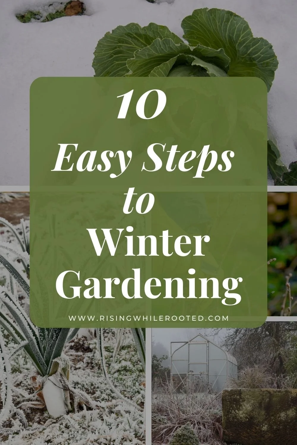 10 Easy Steps to Winter Gardening