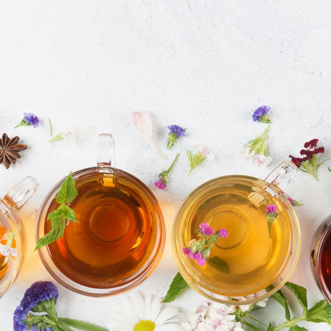 How to Start Your Tea Garden This Year