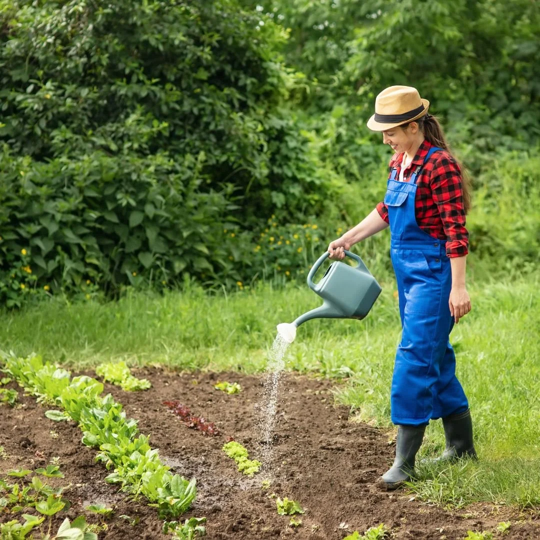 Beauty by the Seasons: Integrate Self-Care with Your Tea Garden