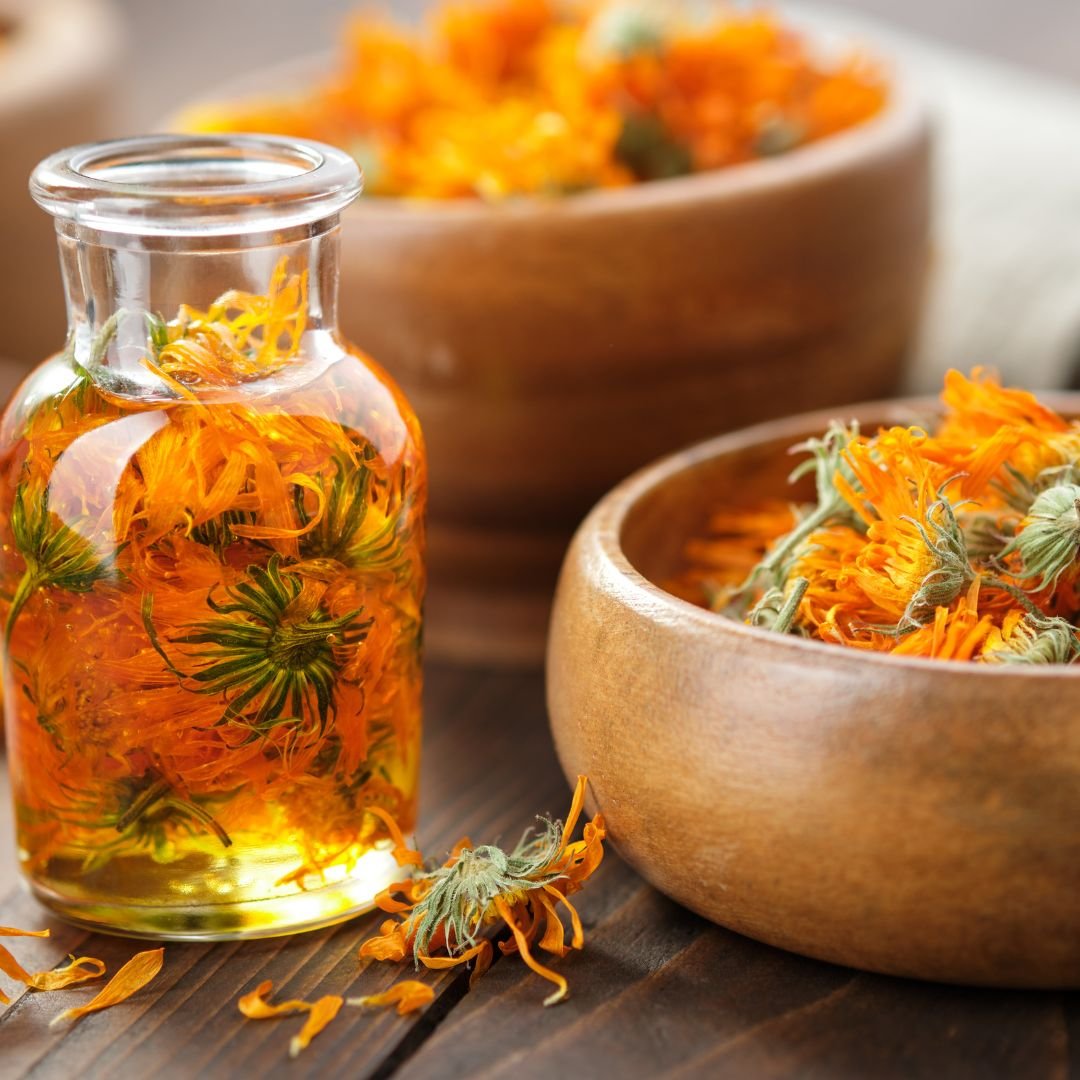 The Ultimate Guide to Calendula: Growing, Harvesting, Drying &amp; Using This Powerful Flower