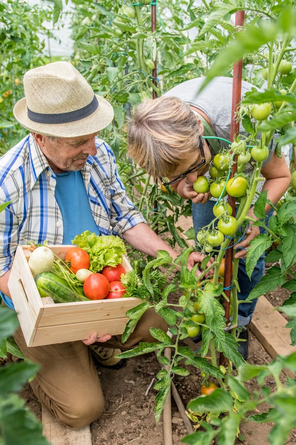 Transform Your Vegetable Garden in 30 Days: A Step-by-Step Guide
