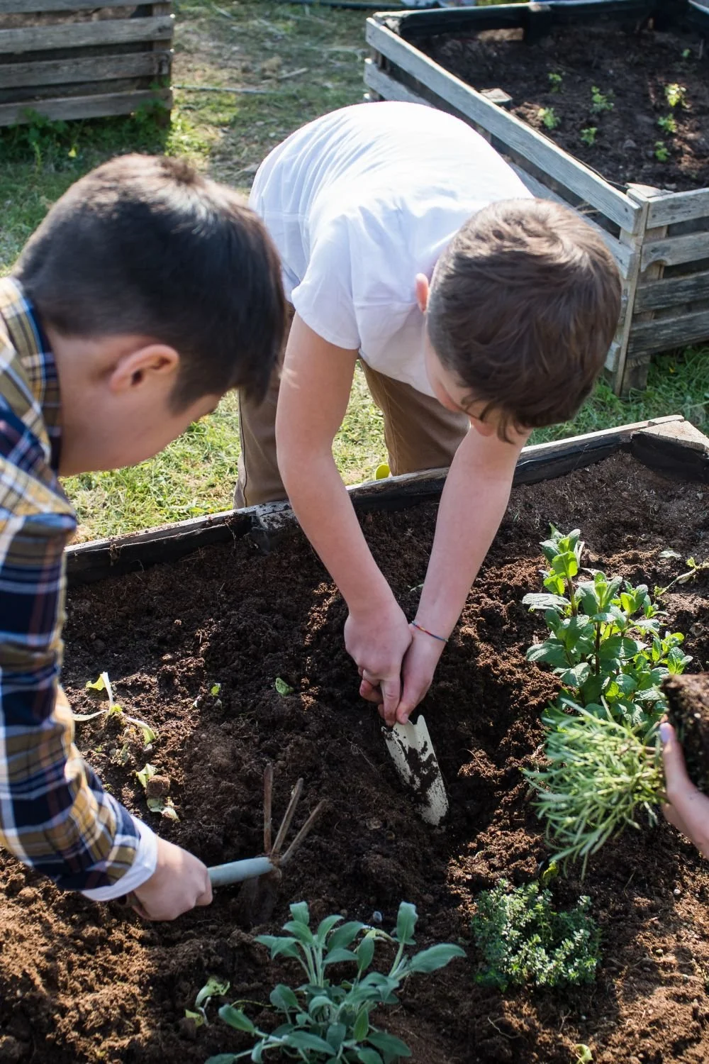 How to Transform Your Herb Garden in 30 Days + Reading List