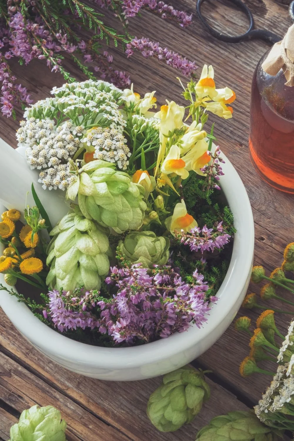 April Planting Zone Guide: Grow Your Best Garden This Spring!