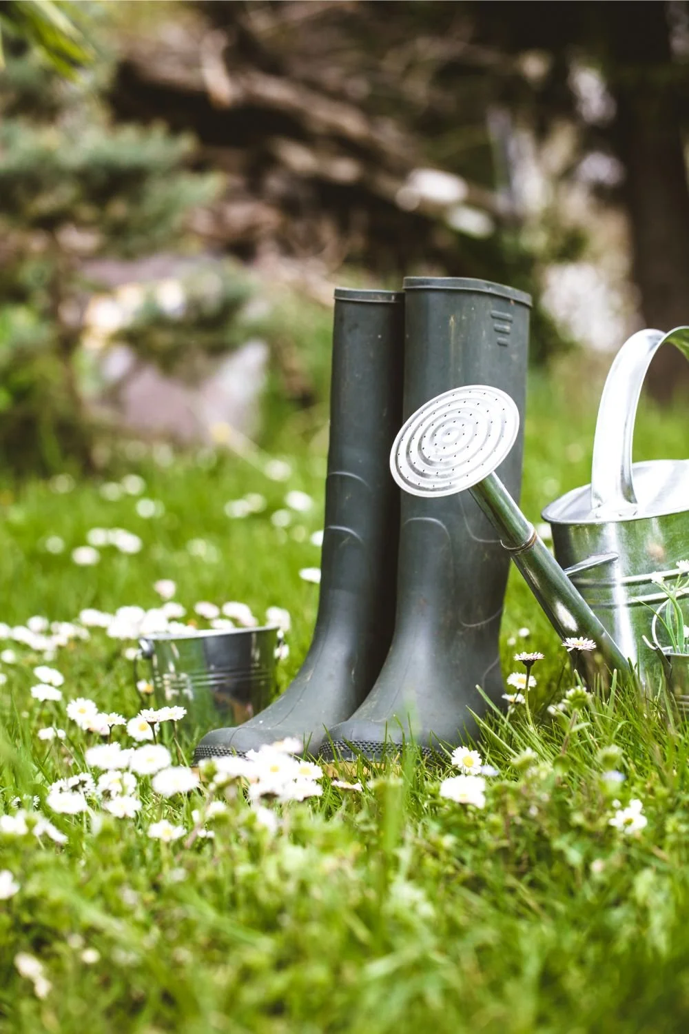 The Gardener’s Sacred Toolkit: 10 Essential Tools for a Thriving Garden