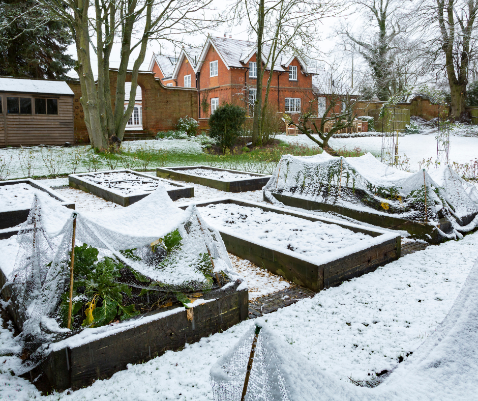February Groundwork: Preparing Your Garden Beds &amp; Planting with Intention