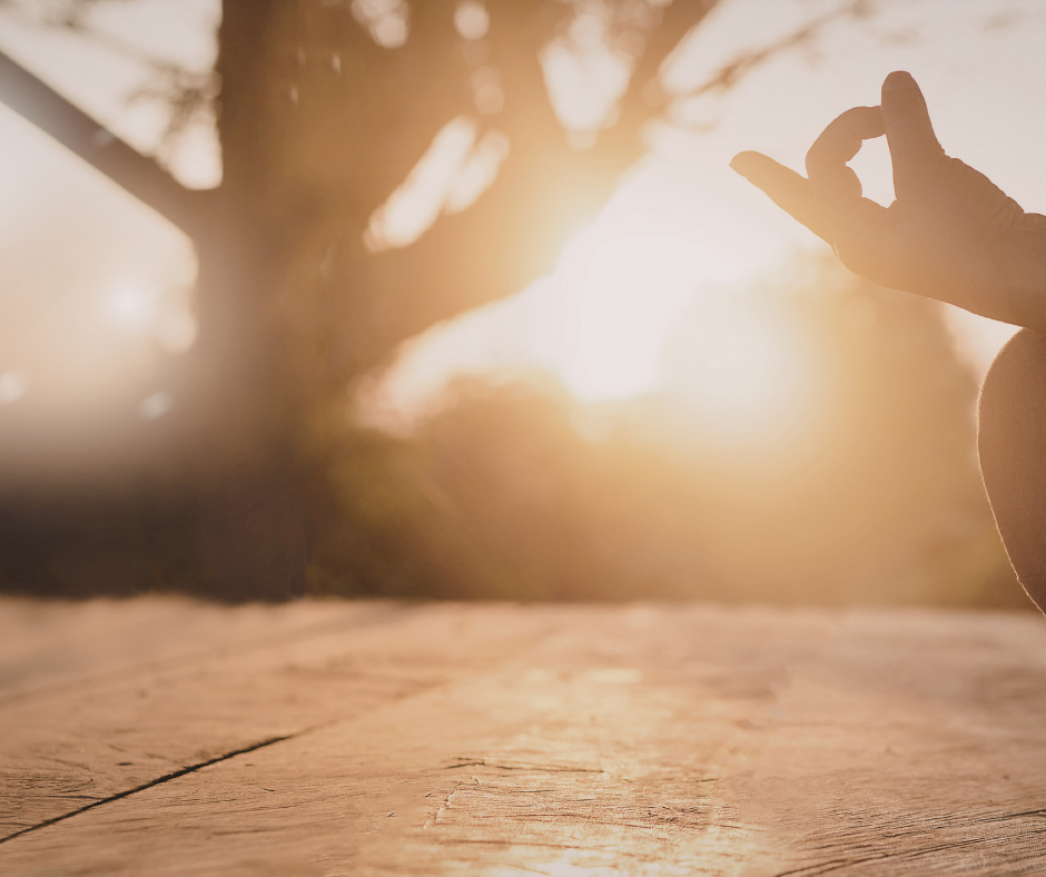 The Sacred Stillness: Resting Body, Mind, Spirit, and Garden in January