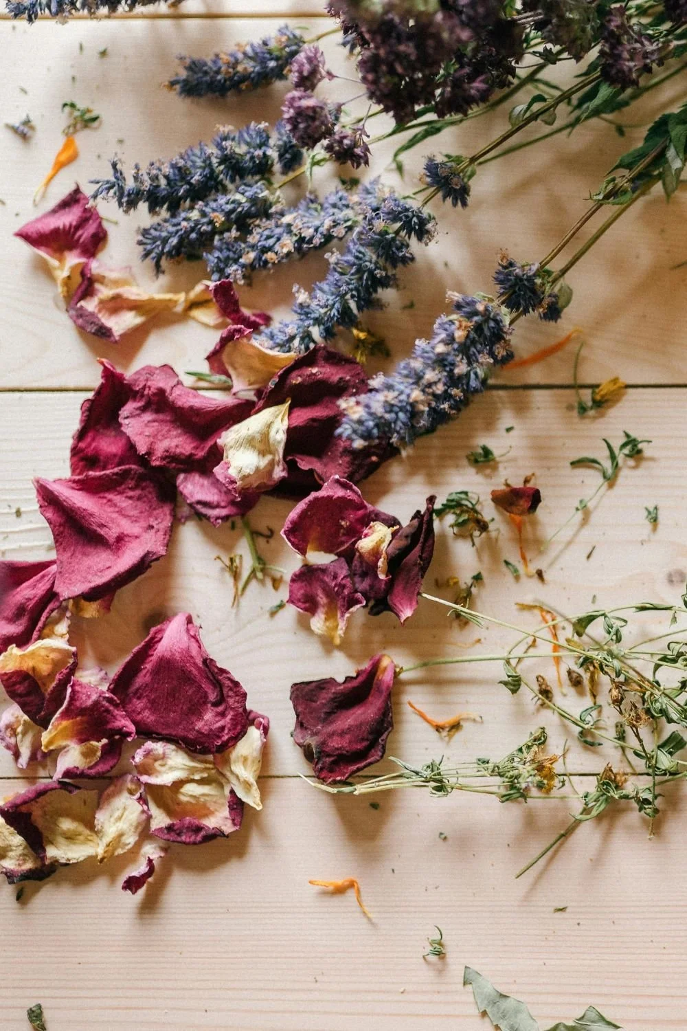 A Legacy of Healing: Black Herbalism in Virginia