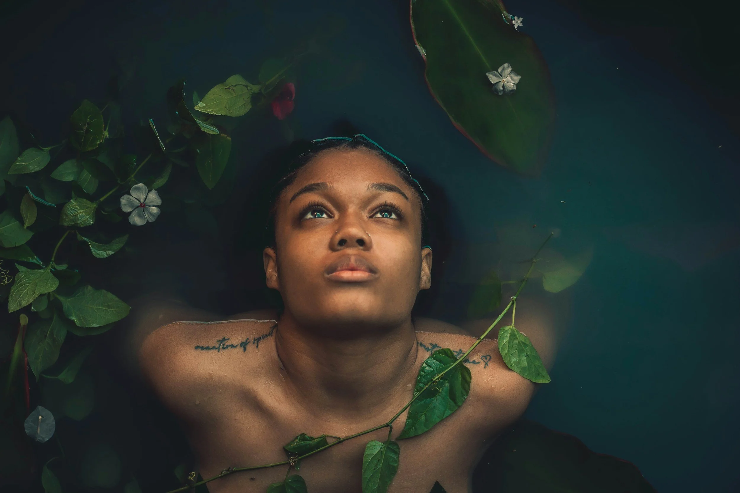 Honoring the New Moon: Release, Rest, and Protection in a Time of Fire