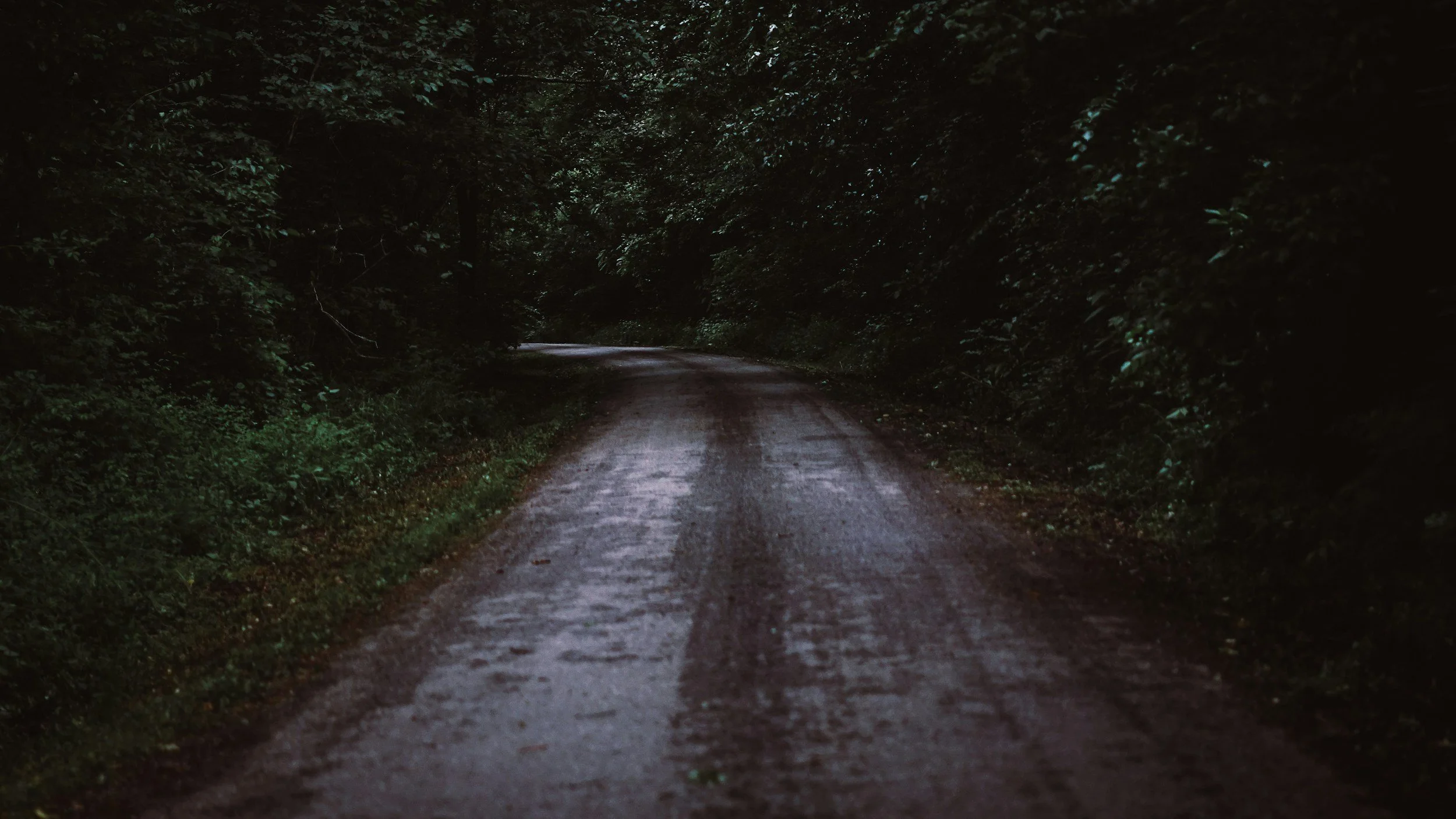 Back Country Roads and Walking with Fireflies on a Full Moon 