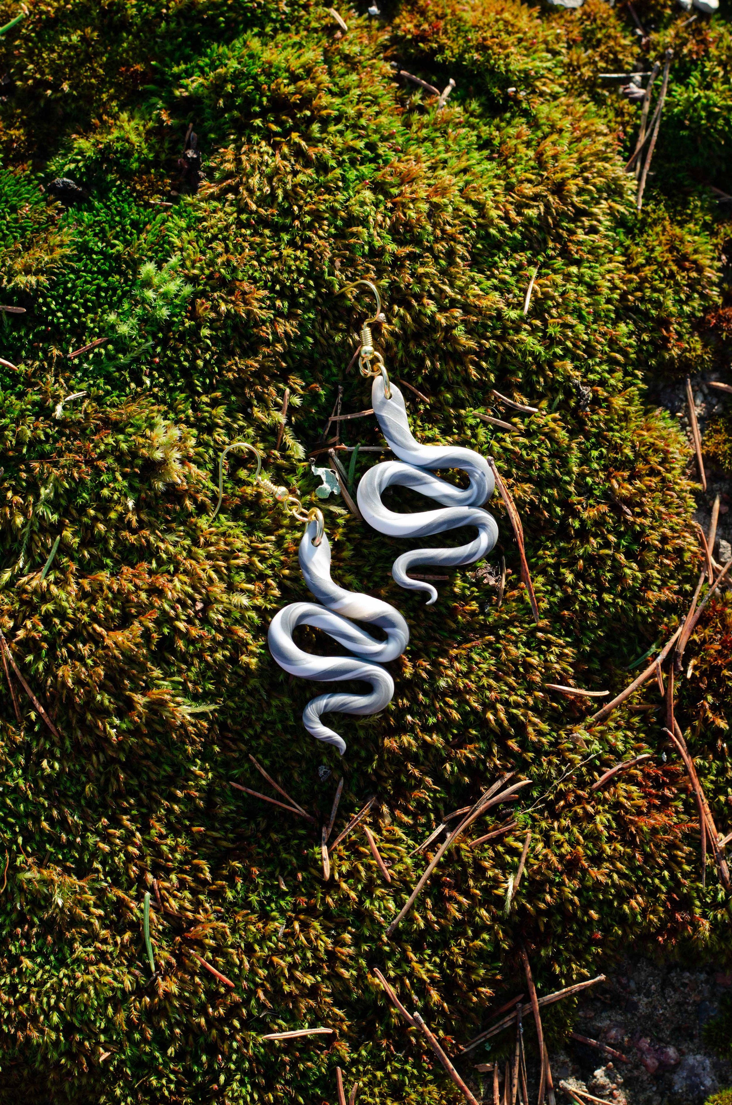 snakeandbird-0480.jpg