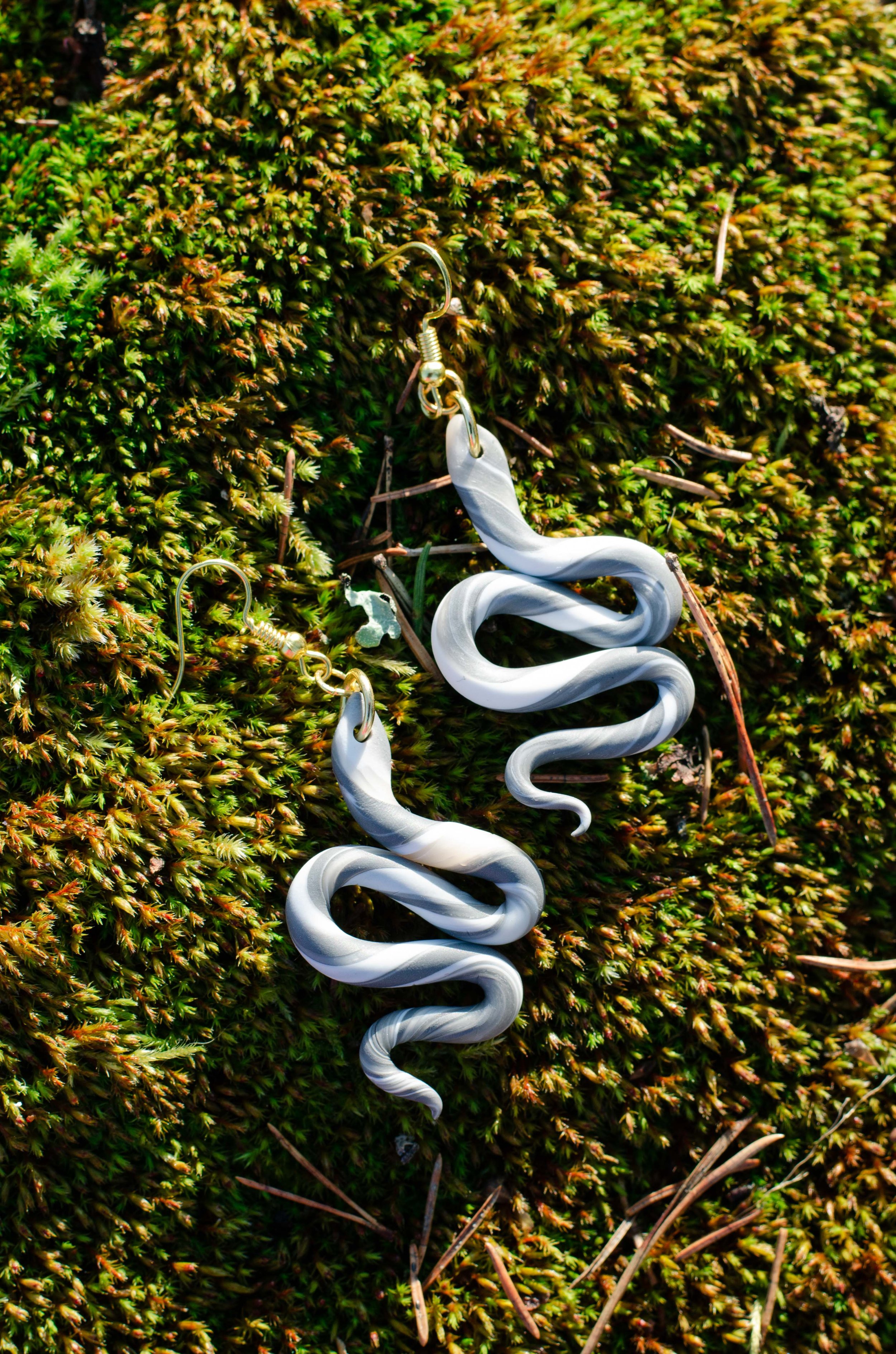 snakeandbird-0479.jpg
