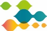 CIMTR Research Lecture Series: Homeside Roundtable