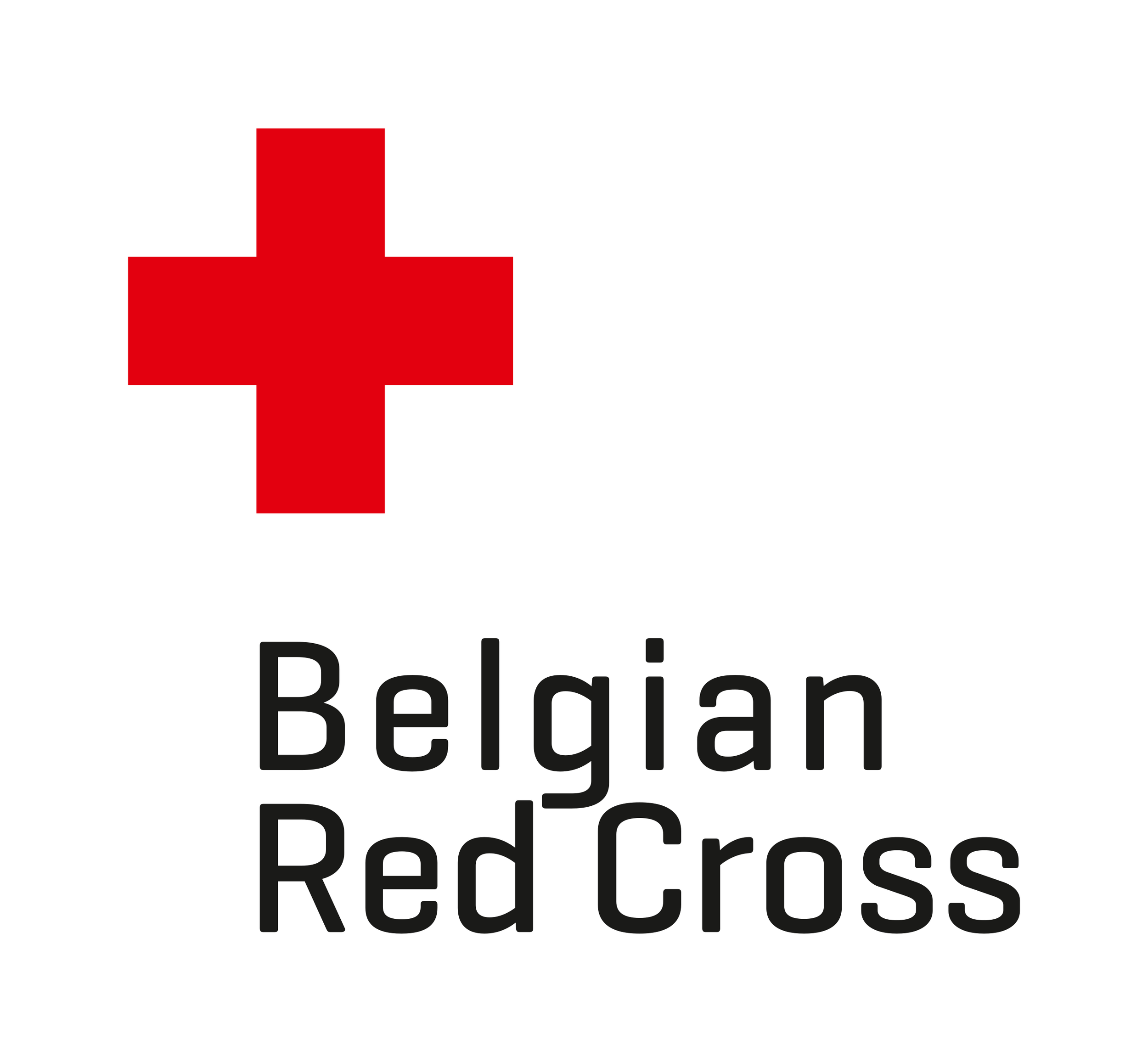 2560px-Belgian_Red_Cross_logo.svg.png