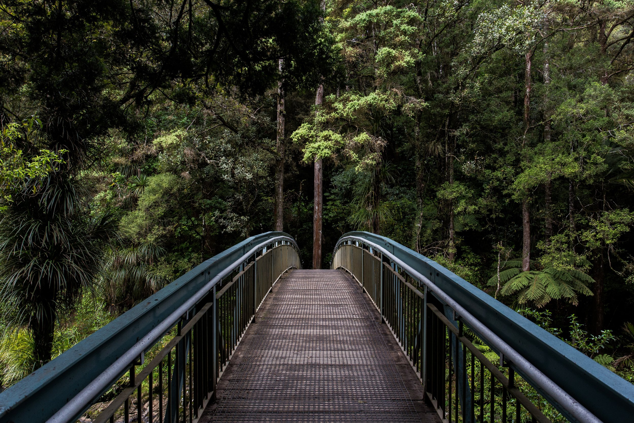 ADA Accessibility in the Glamping Industry