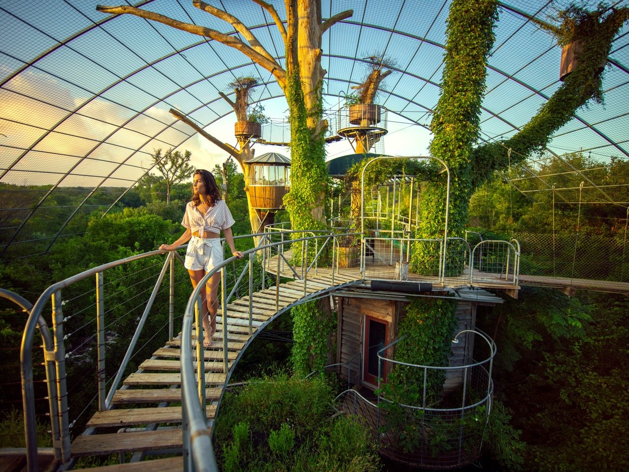 654e83fb9c2e216826979e3f_kevsteele_210713_treehouse_03_5k Large.jpeg