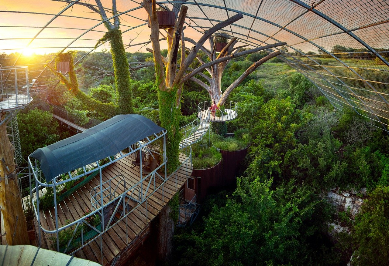 654e83fbc2400cb6b1c83785_kevsteele_210713_treehouse_04_5k Large.jpeg