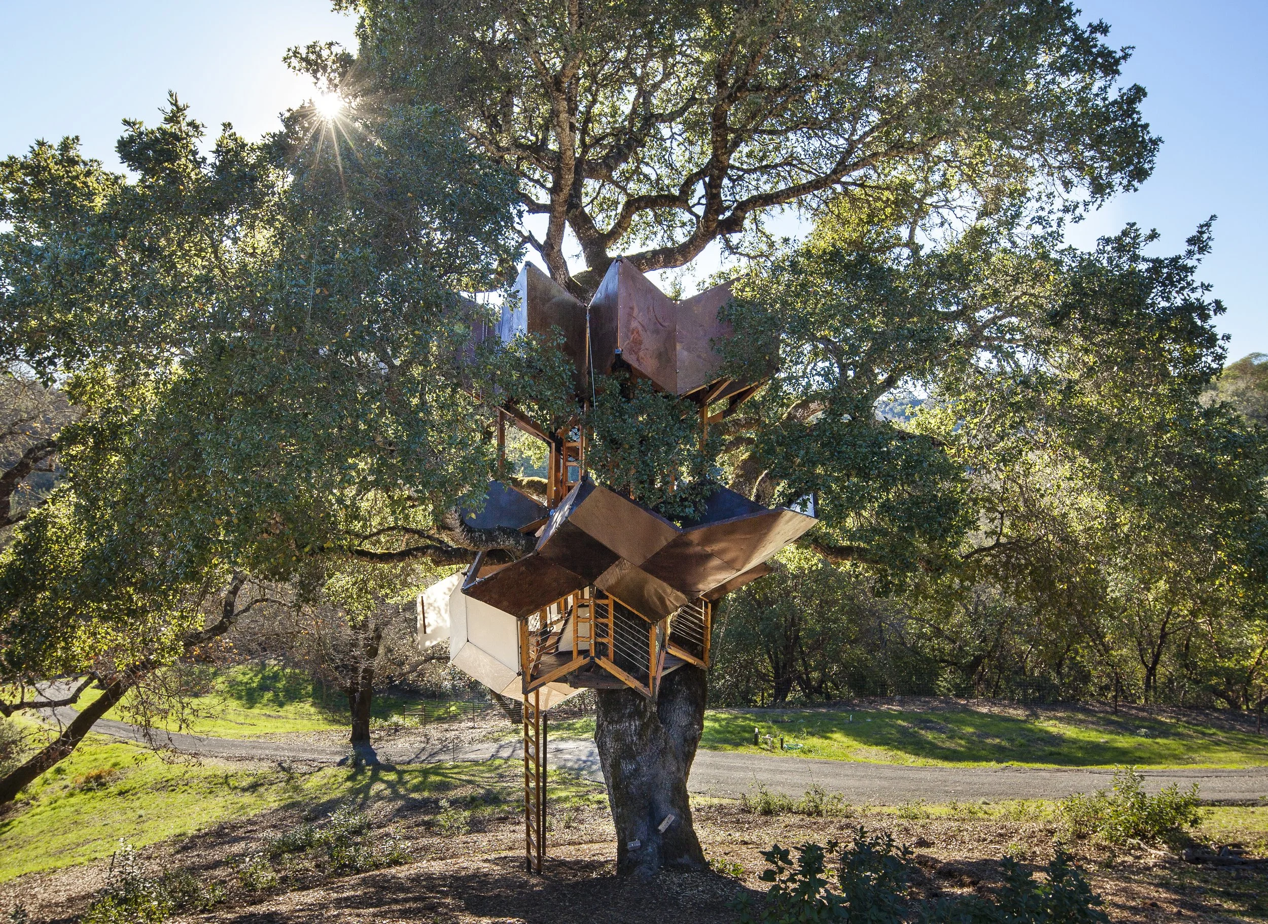 Ground Up: O₂ Treehouse and Treewalkers — American Glamping Association