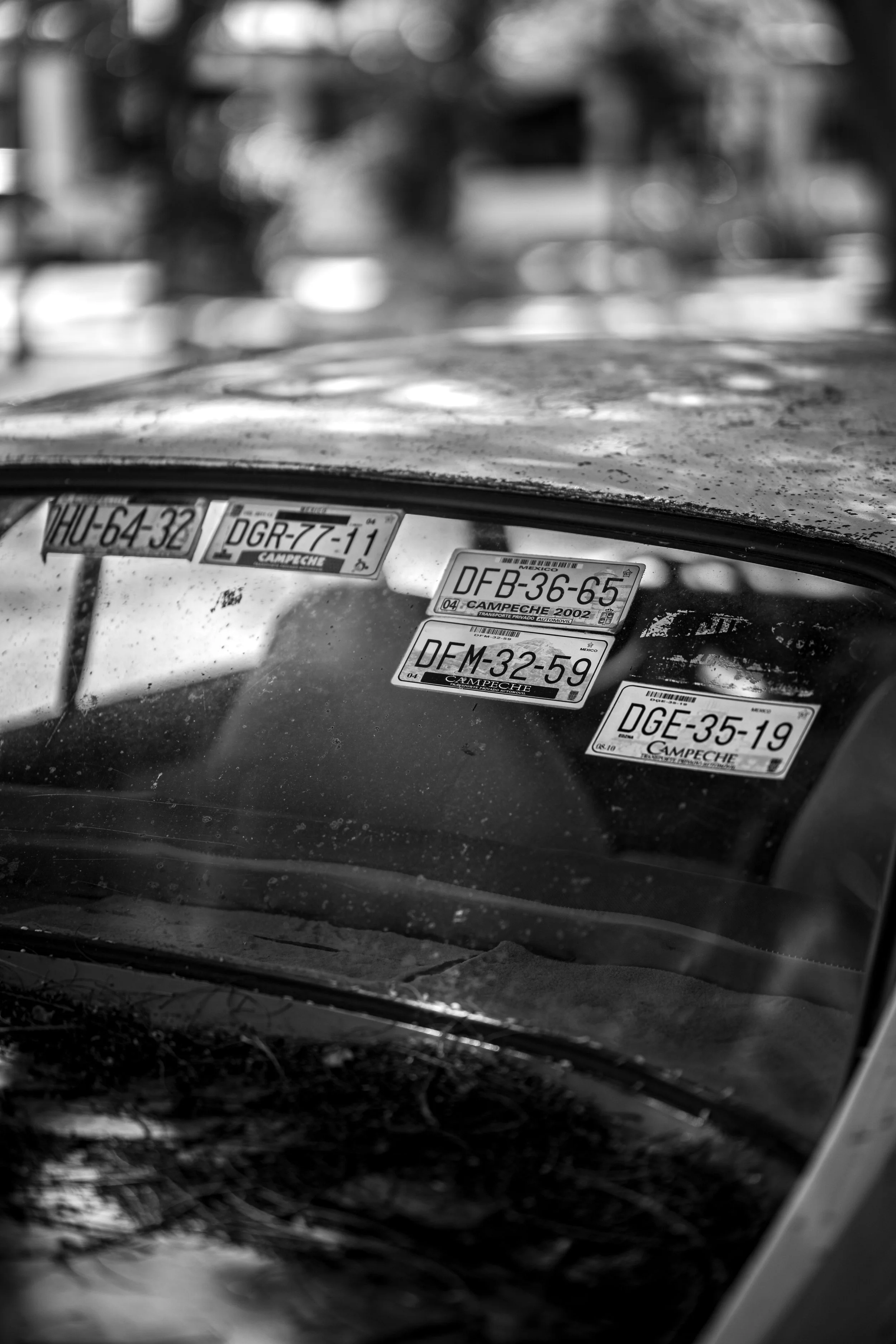 DSC04561-2.jpg