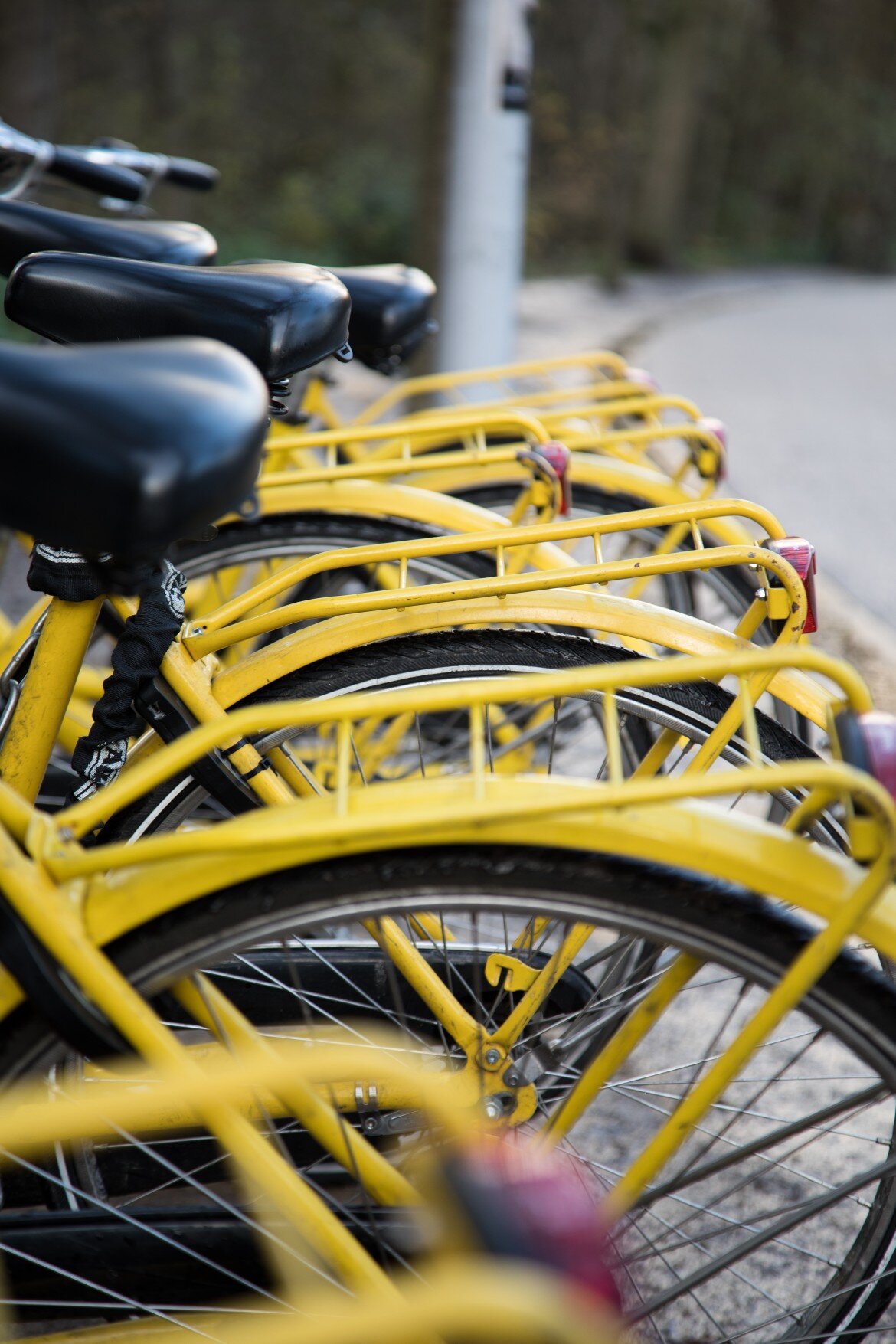 close-up-yellow-bicycle-colours-amsterdam-canon-shallow-depth-of-field_t20_KyPPRX.jpg