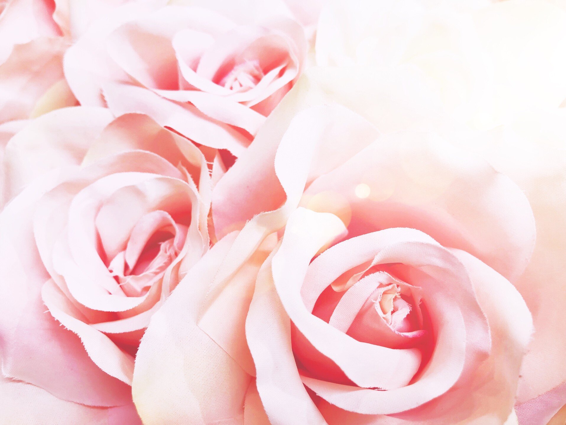 artificial-rose-macro-photo-flower-closeup-peach-roses-pink-roses-peach-colored-pink-color-pinkish_t20_eokAXa.jpg