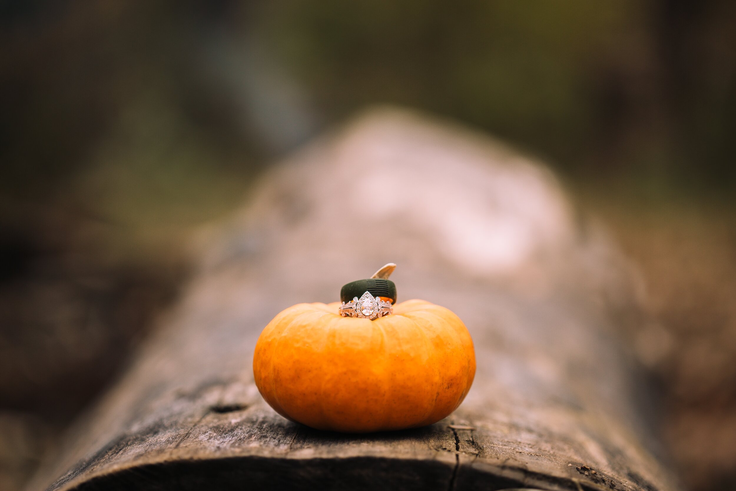 wedding-rings-on-pumpkin-on-log-in-woods_t20_0xgePB.jpg