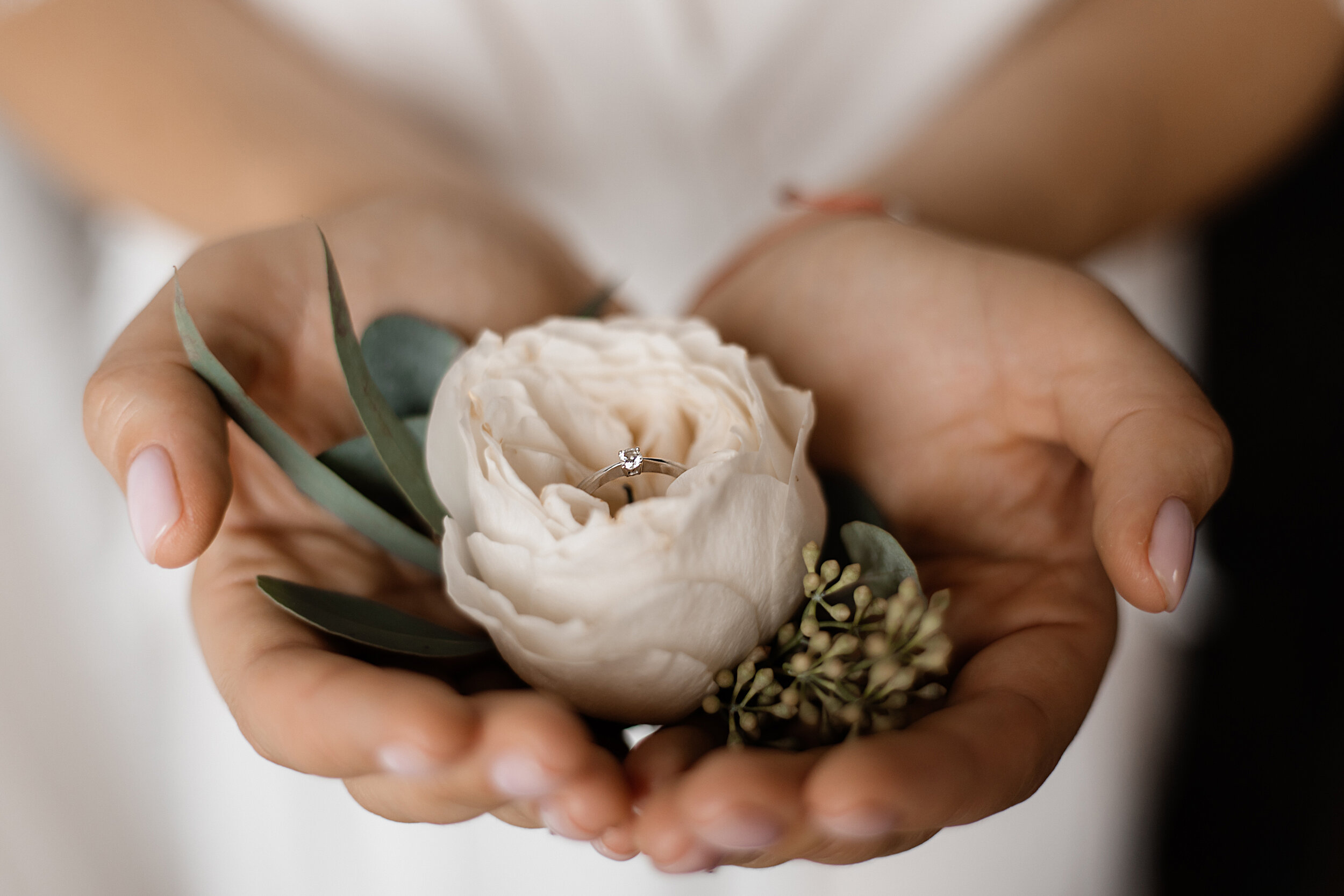 tender-eustoma-flower-with-engagement-ring-with-tiny-diamond-hands-bride.jpg