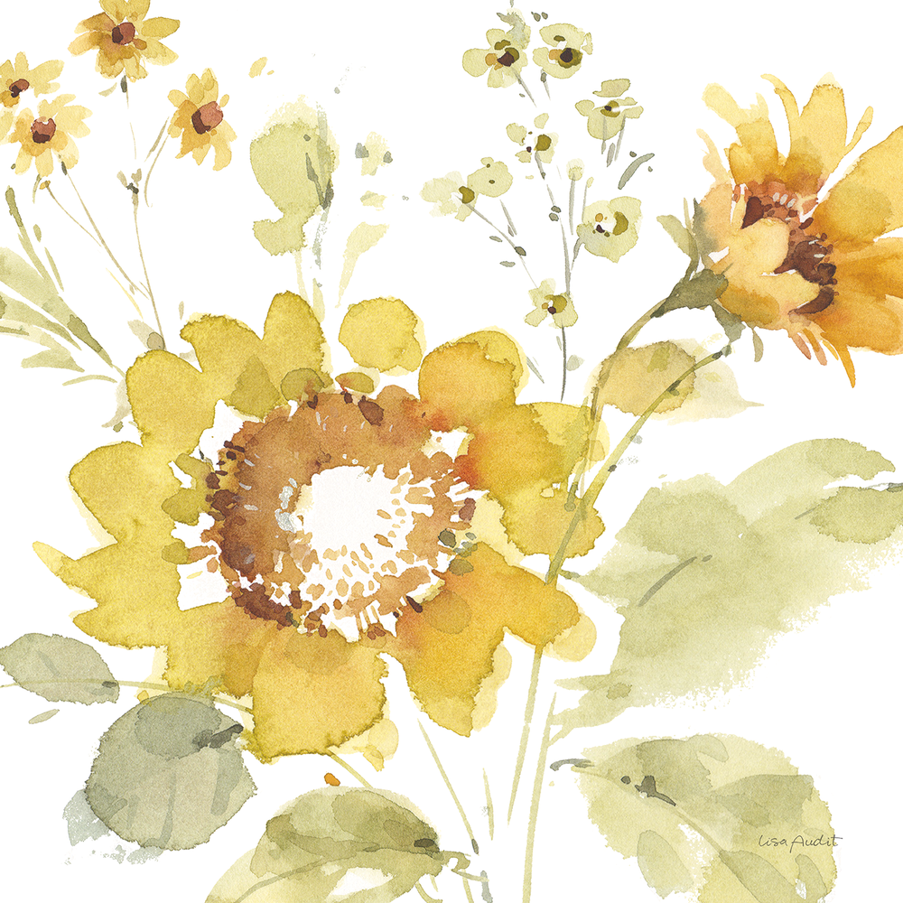 SUF04-Sunflower-Field-04.png