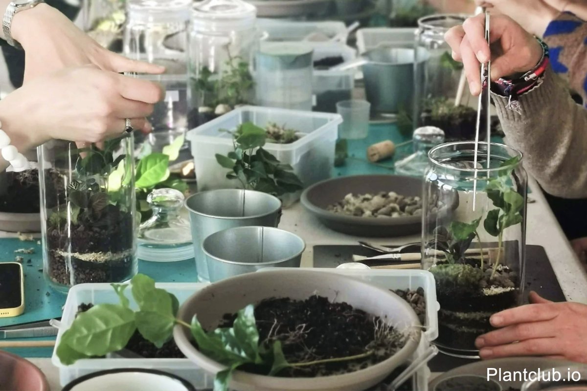  A tiny garden to brighten your space. 