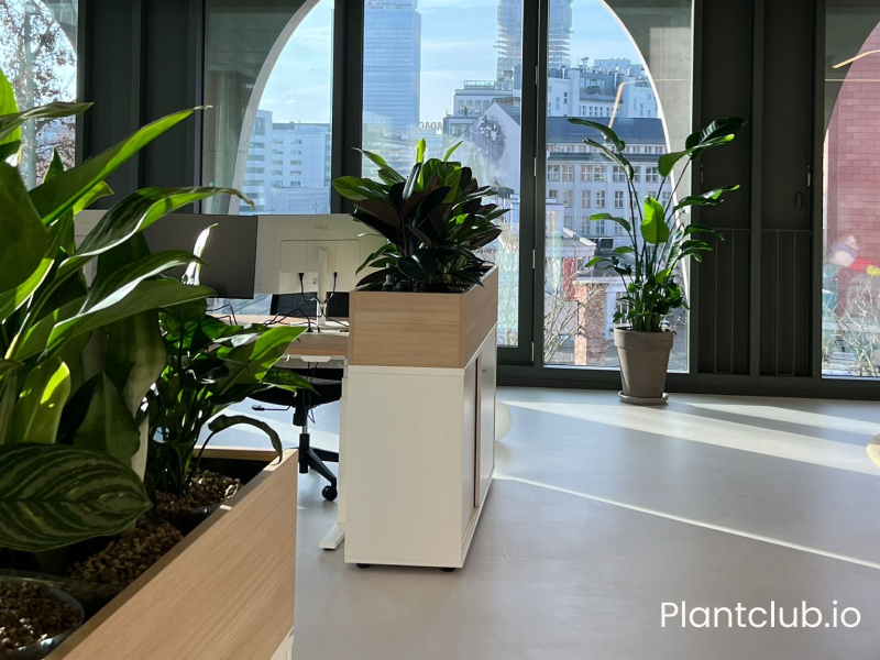 Custom integrated office planting system with built-in divider and terracotta planters in modern workspace