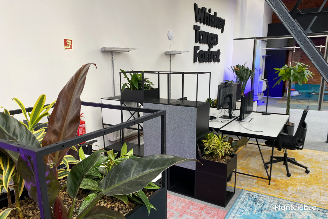  Planters are used as room dividers at the Hamburg office of Whiskey Tango Foxtrot. 