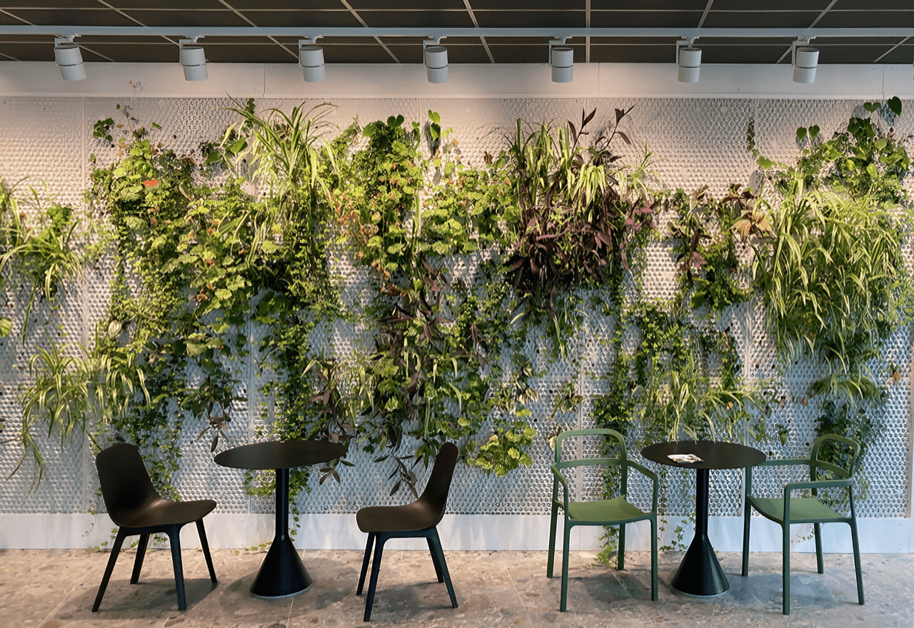 Green Walls: a sustainable solution for modern spaces